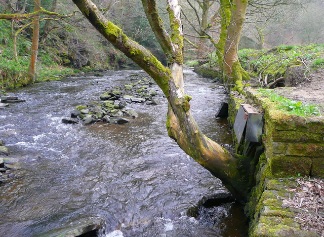 Pipe Creek: Travels with Josh