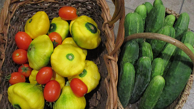 Full Circle: A Quaker Farm, Quaker Meeting and Quakertown Today