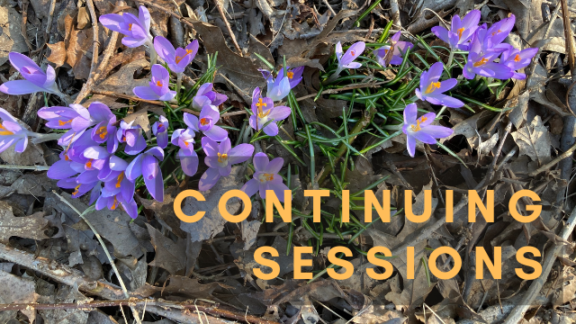 How to Prepare for Continuing Sessions: March 23, 26 and 27