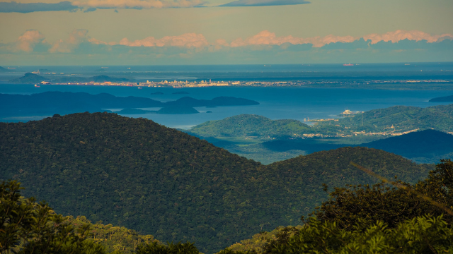 Letter from a Quaker Translator for Indigenous Peoples in Brazil