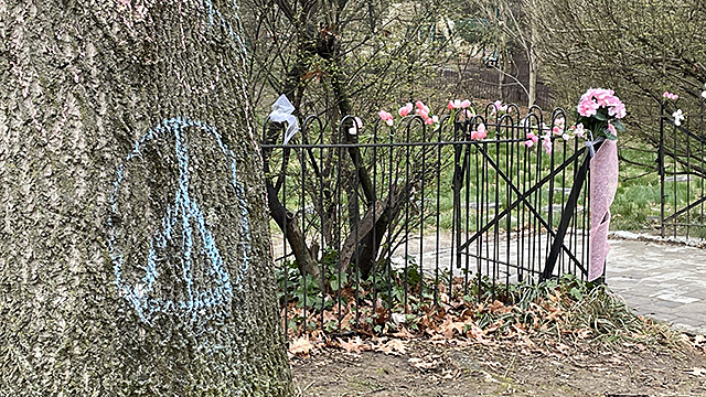 Peace Sign on a Tree