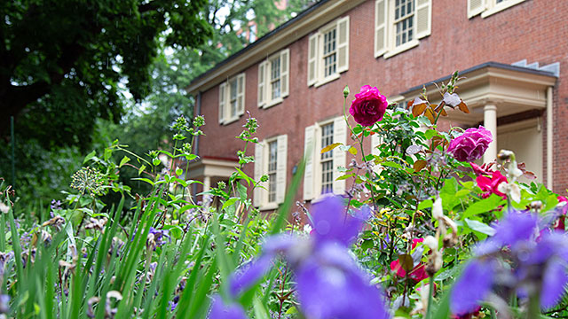 Field of Flowers at Arch Street Meeting House